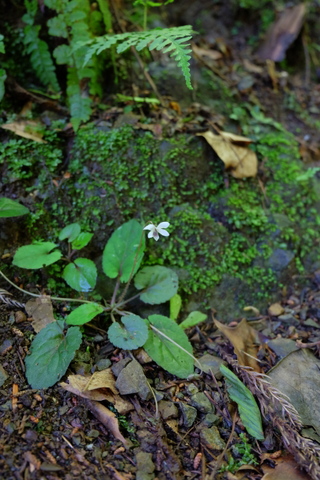 b0281732_8514747.jpg