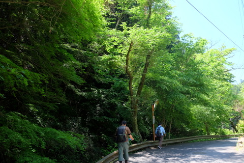 b0281732_8524614.jpg