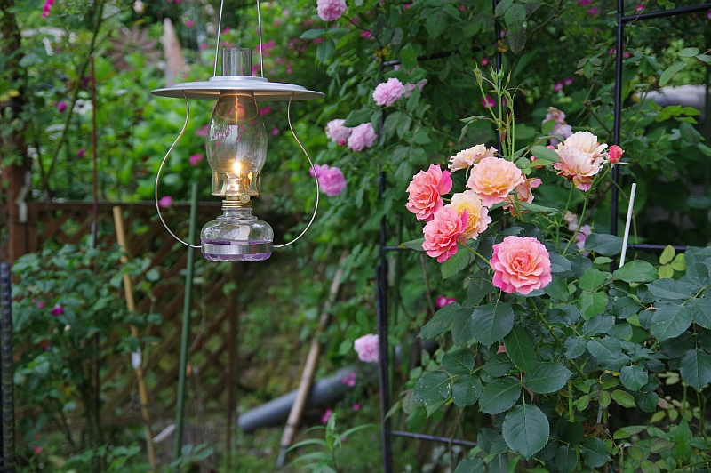 c0243343_22405622.jpg