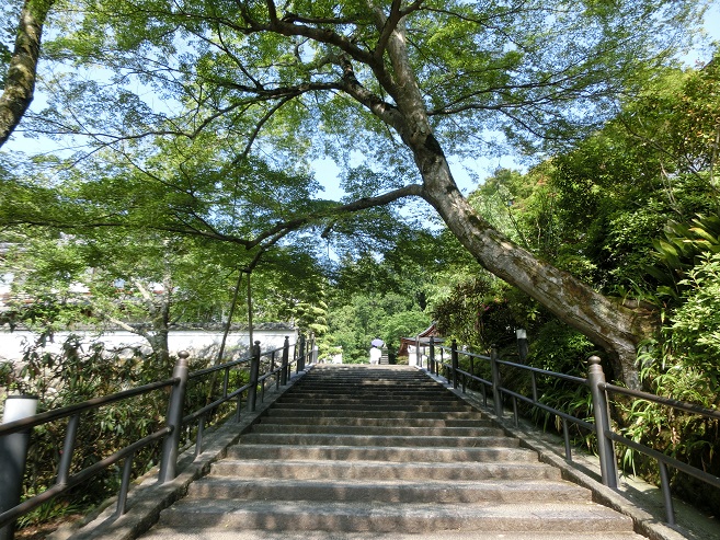 a0237349_1722267.jpg