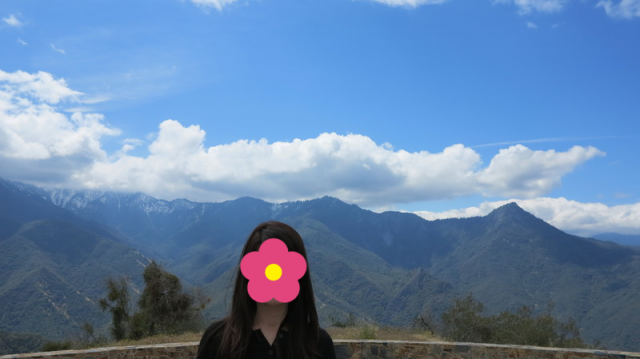 c0355451_03493776.png
