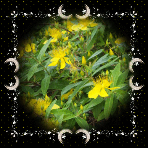 b0133752_015420.gif