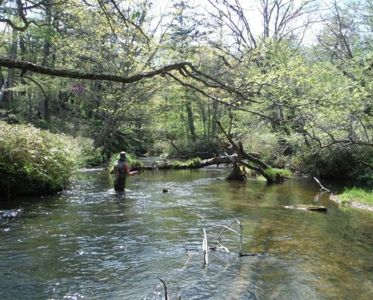b0304662_09361749.jpg
