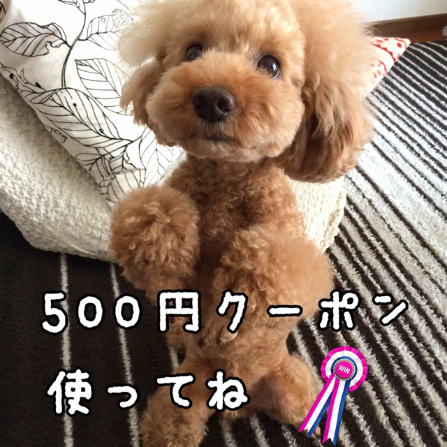 f0269163_16311031.jpg