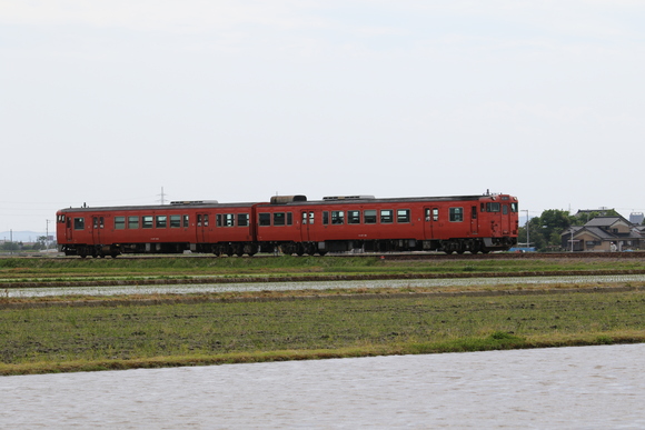 d0187275_2034143.jpg