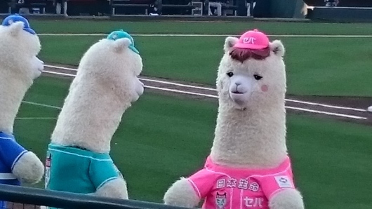 c0325278_13200947.jpg