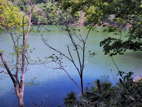 c0355778_853648.jpg