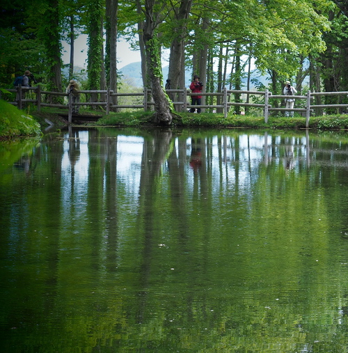 c0355778_89308.jpg