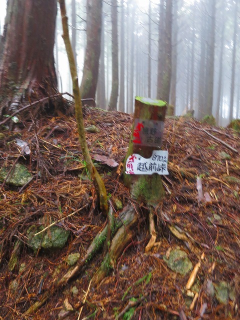 b0326483_20153326.jpg