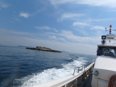 d0174683_6201662.jpg