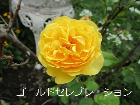 a0143388_10512669.jpg