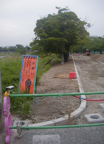 d0053294_1262958.jpg