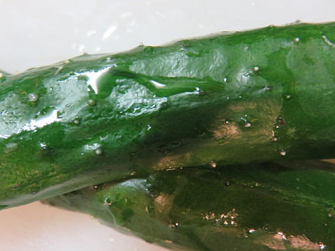 d0046702_206386.jpg