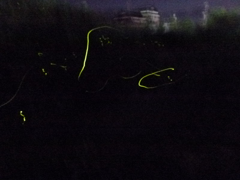 b0052108_1442262.jpg