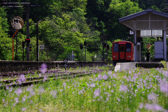 d0309612_2044371.jpg