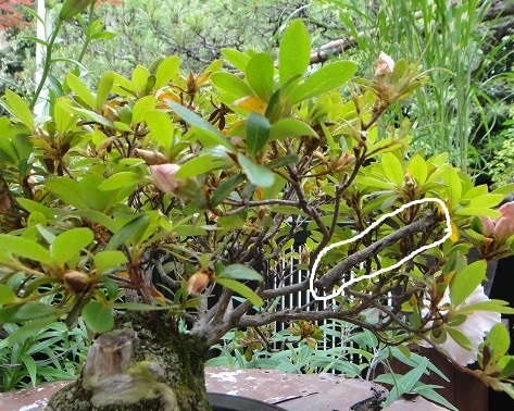 f0000521_04565255.jpg