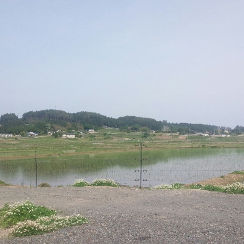 b0349725_23252144.jpg
