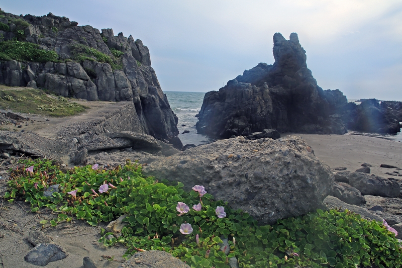 c0104227_16132324.jpg