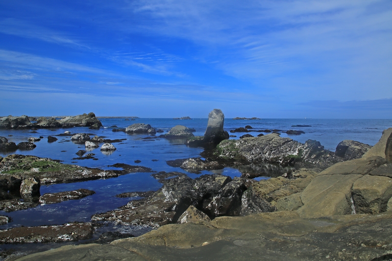 c0104227_162553100.jpg