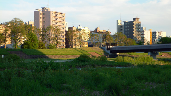 a0046429_4444119.jpg