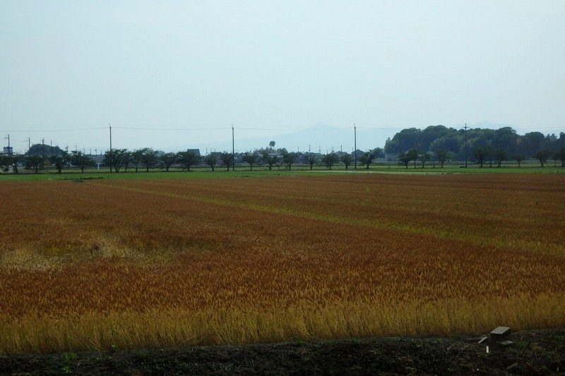 a0017634_8541174.jpg