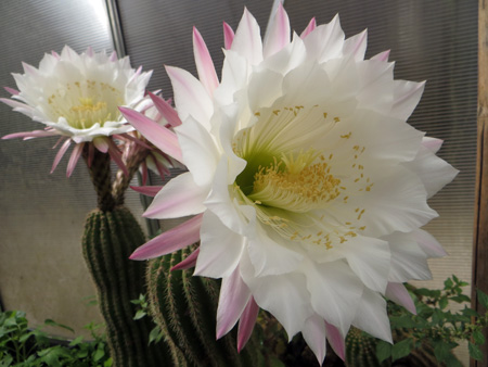 f0234936_6245555.jpg