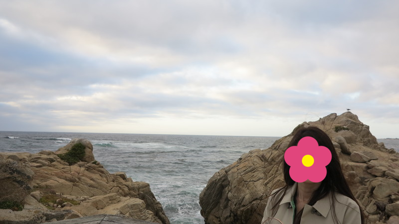 c0355451_11112671.png