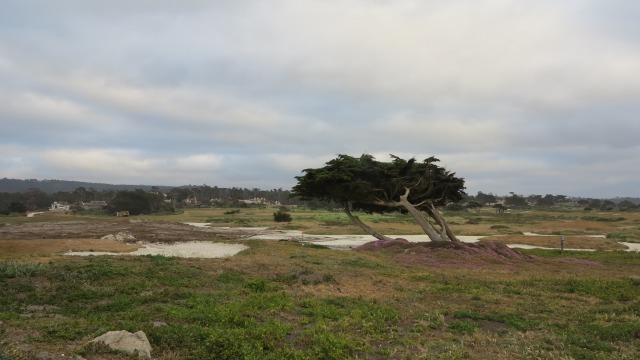 c0355451_11135837.jpg