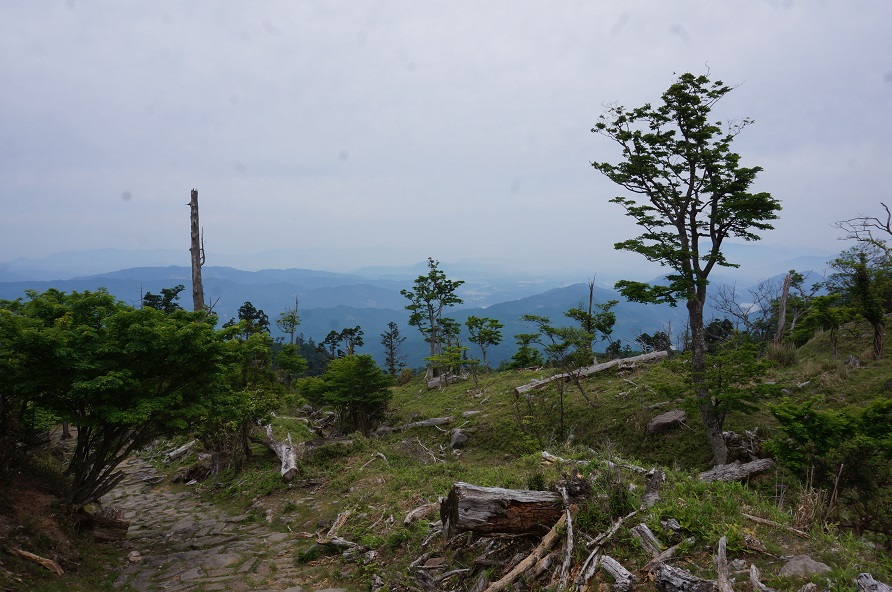 f0016066_7263280.jpg