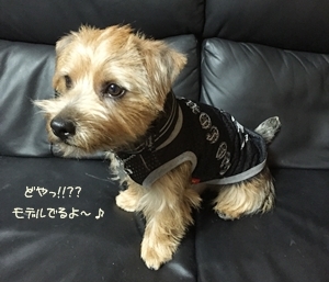 b0249672_20122203.jpg