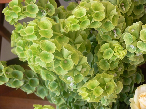 e0140986_16163479.jpg