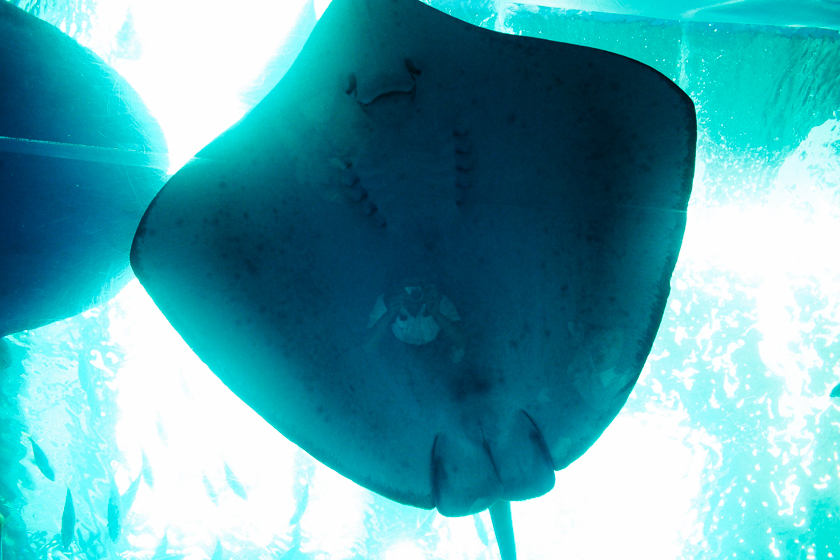 b0086098_17334164.jpg