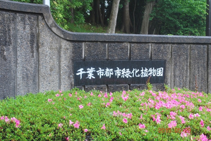 e0025300_1225283.jpg