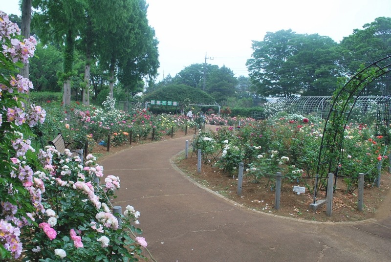 e0025300_20572079.jpg