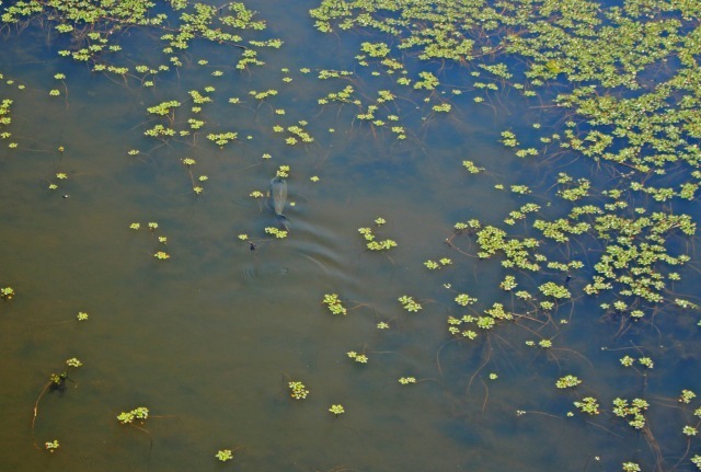 f0041200_17444558.jpg