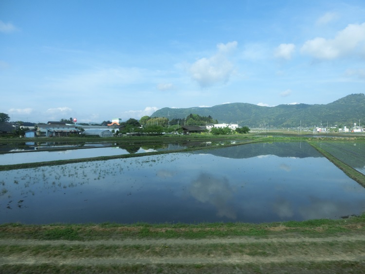 d0004301_21152731.jpg