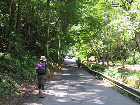 d0046702_2124085.jpg