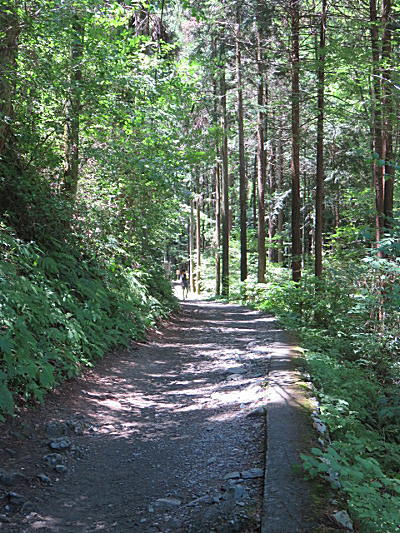 d0046702_21241577.jpg