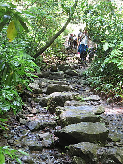 d0046702_21251656.jpg