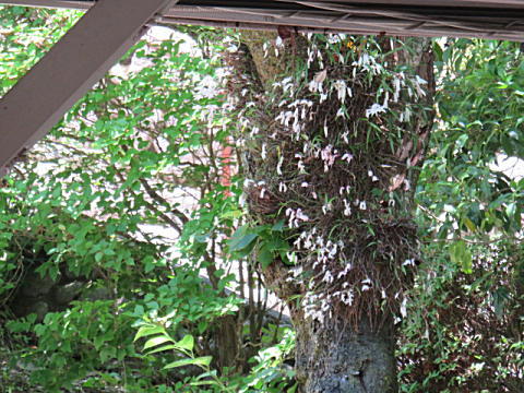 d0046702_21263543.jpg