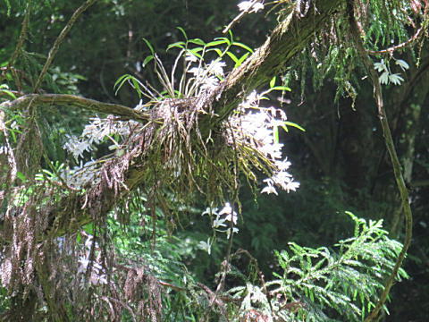 d0046702_21273553.jpg