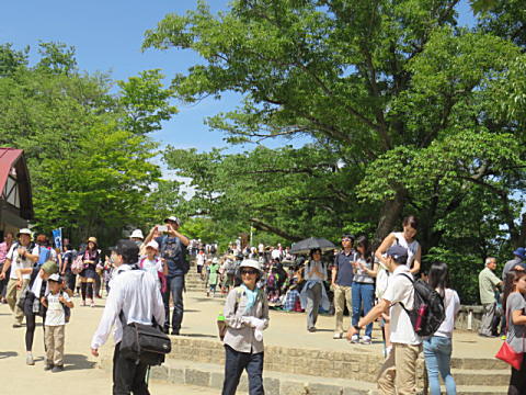 d0046702_21301050.jpg