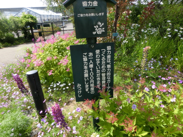 a0203003_1743957.jpg