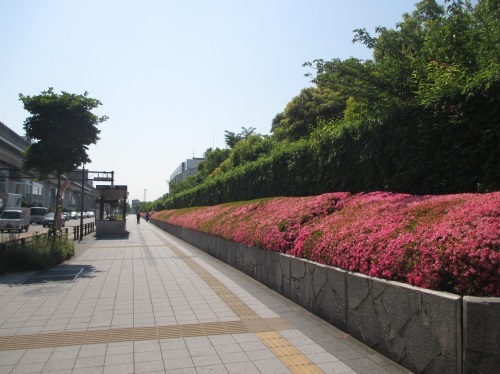 e0242504_20113514.jpg