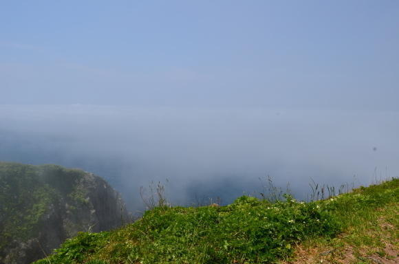 c0336907_22514827.jpg