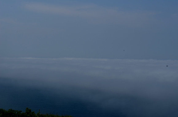 c0336907_22523305.jpg