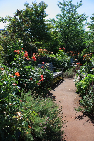 d0077811_17485836.jpg