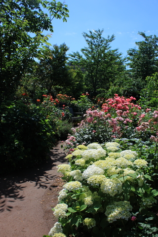 d0077811_17515730.jpg