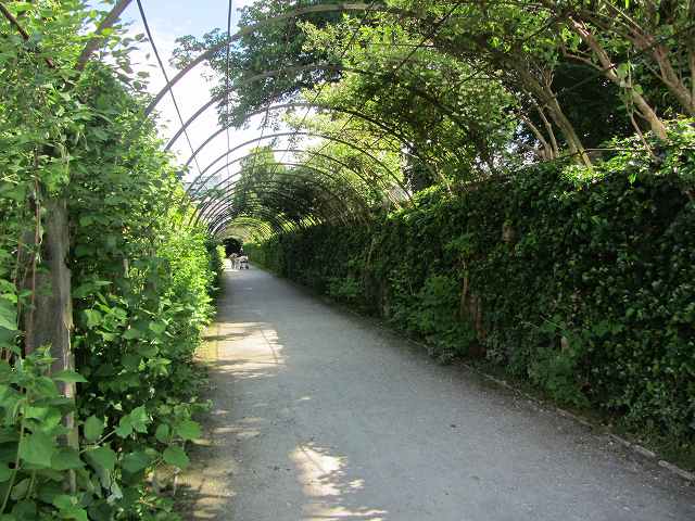 c0167813_4155727.jpg