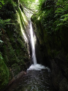 c0359615_20141188.jpg